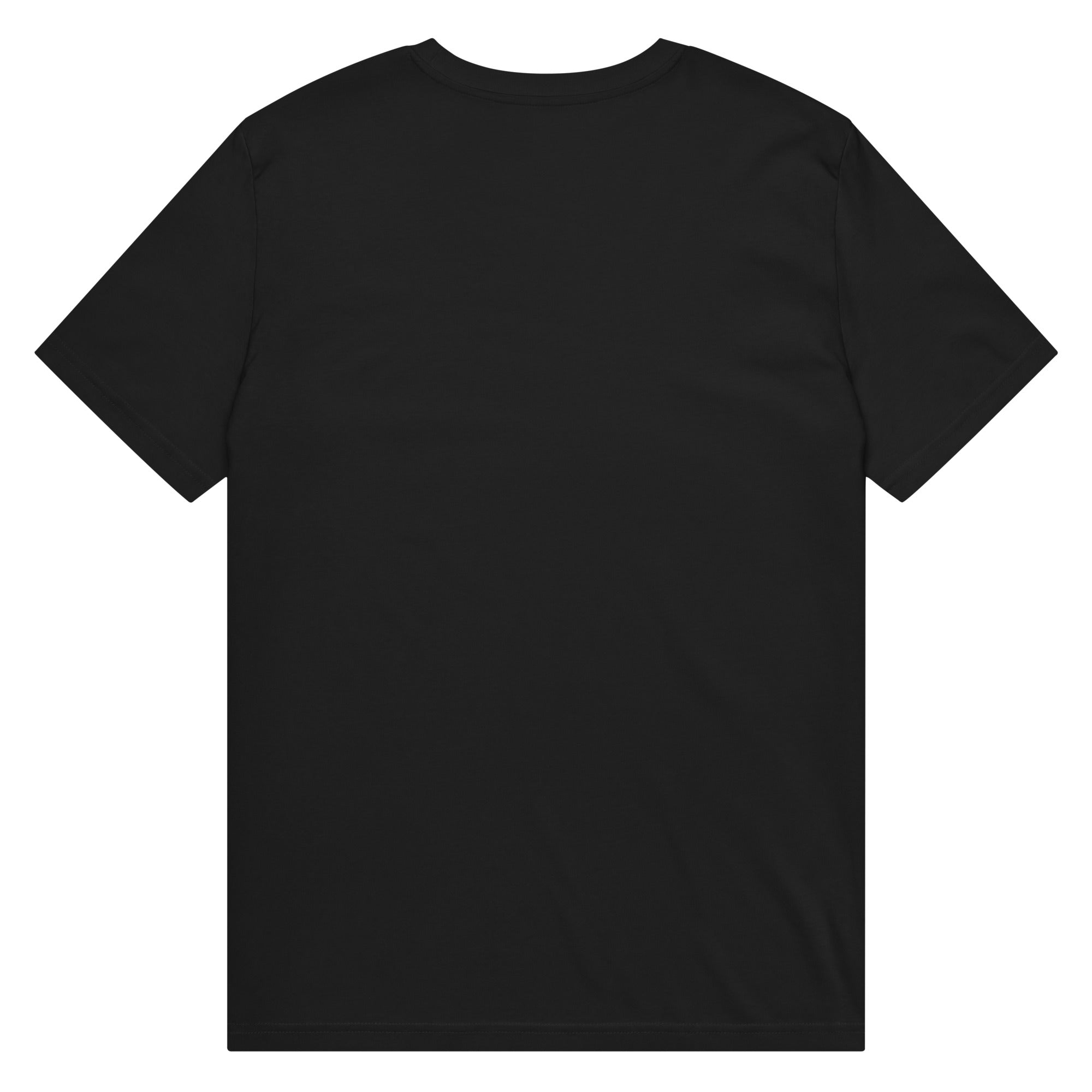 Pepe Silvia Always Sunny IASIP organic mid-light tee in black, back view