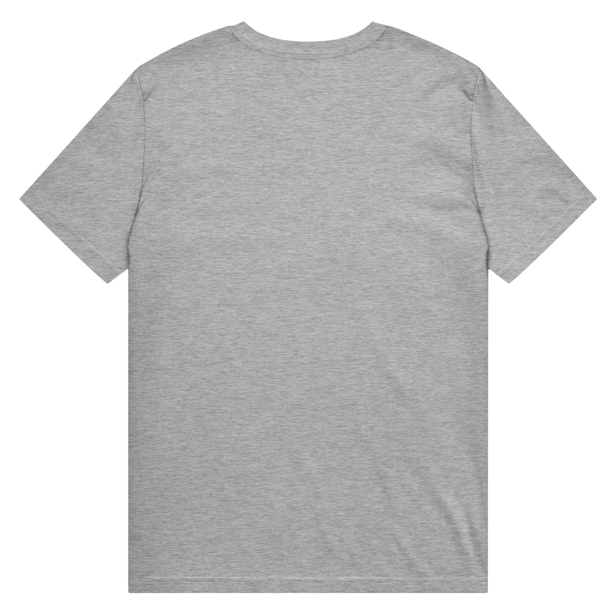 Pepe Silvia Always Sunny IASIP organic mid-light tee in heather grey, back view