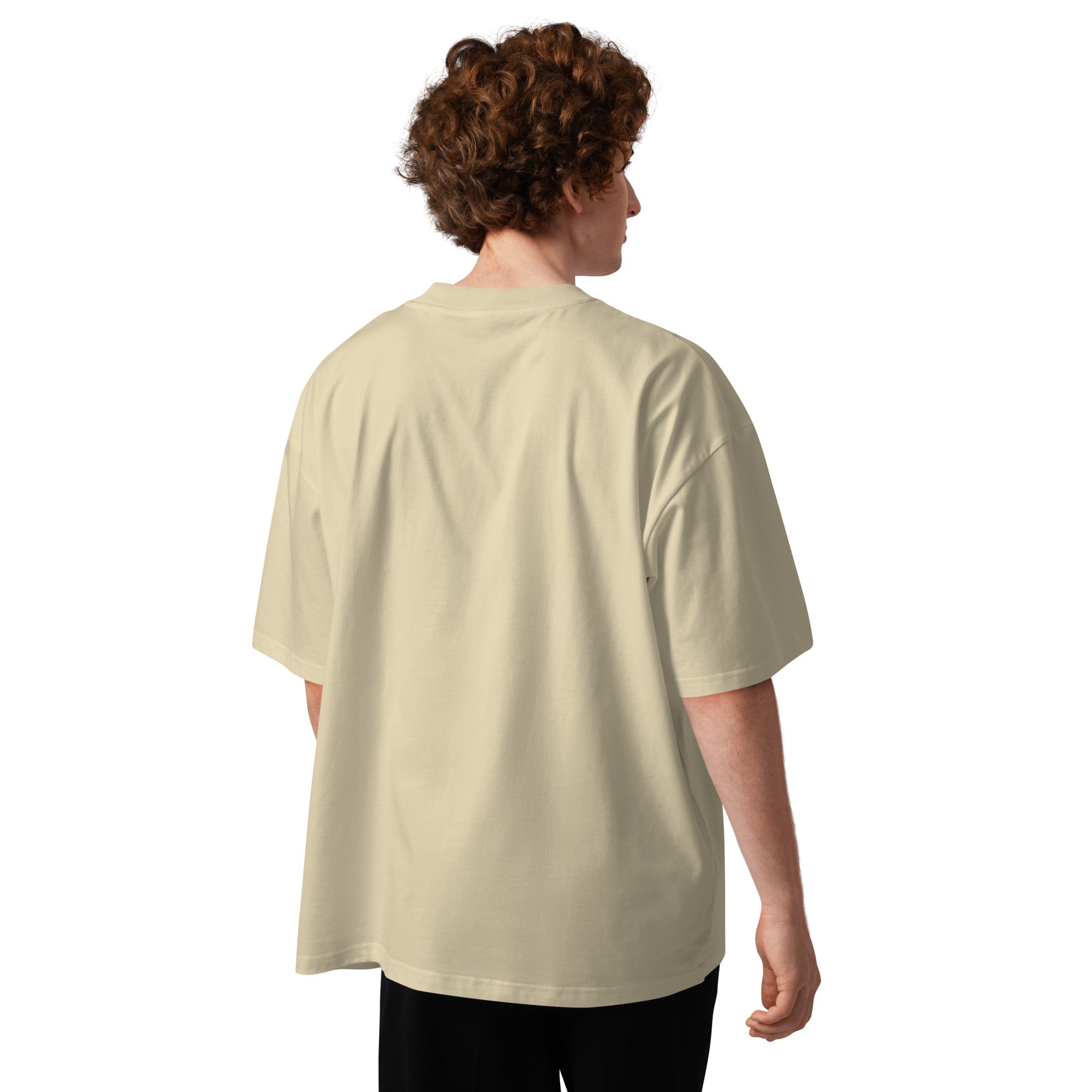 Pirate Door Always Sunny IASIP minimalist oversized tee in stone, back view