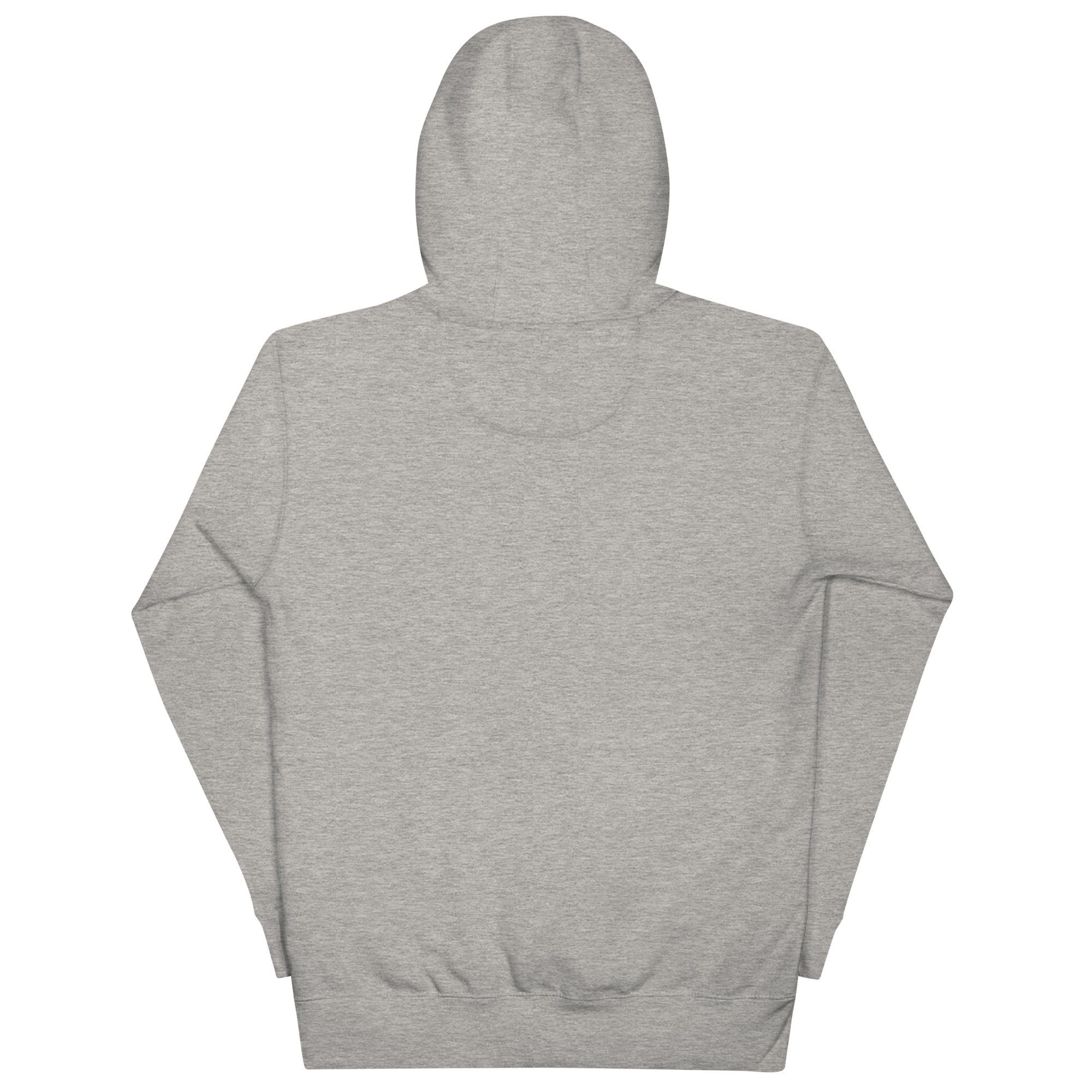 No One Is Coming To Stop You quote pullover hoodie in carbon grey, back view