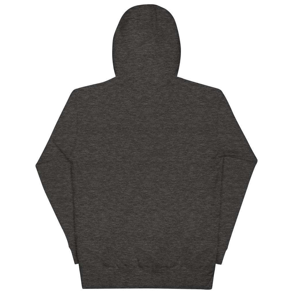 No One Is Coming To Stop You quote pullover hoodie in charcoal heather, back view
