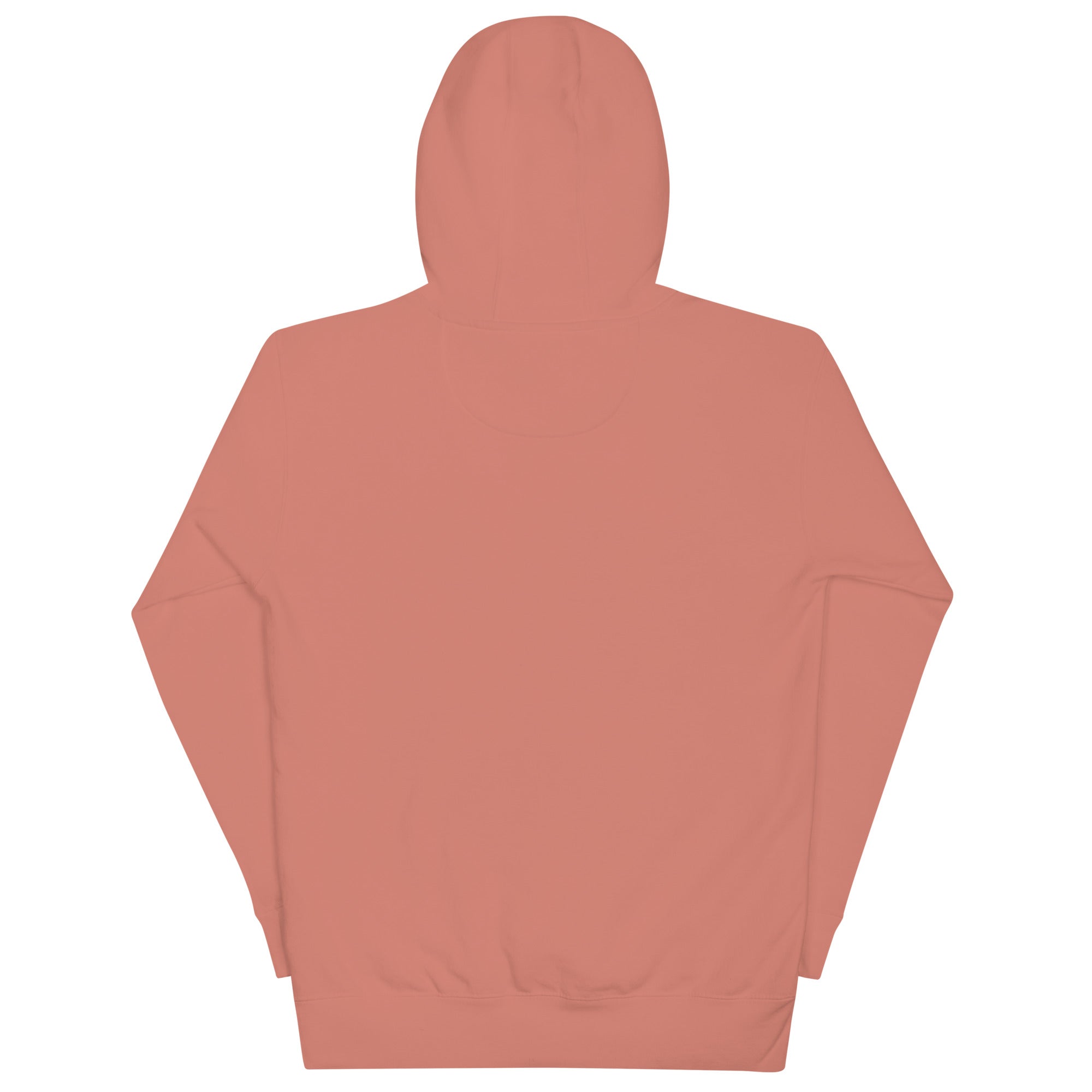 No One Is Coming To Stop You quote pullover hoodie in dusty rose, back view