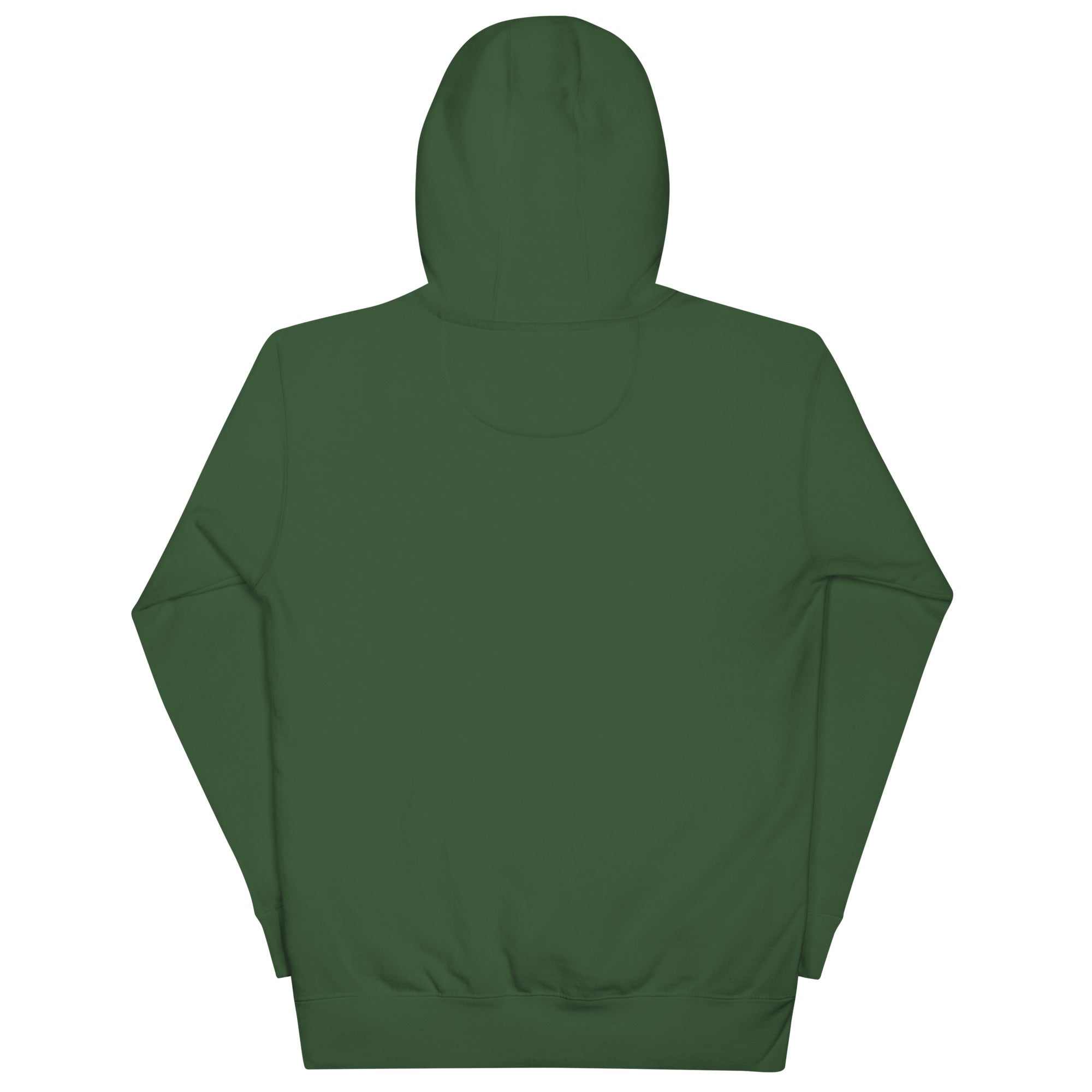 No One Is Coming To Stop You quote pullover hoodie in forest green, back view