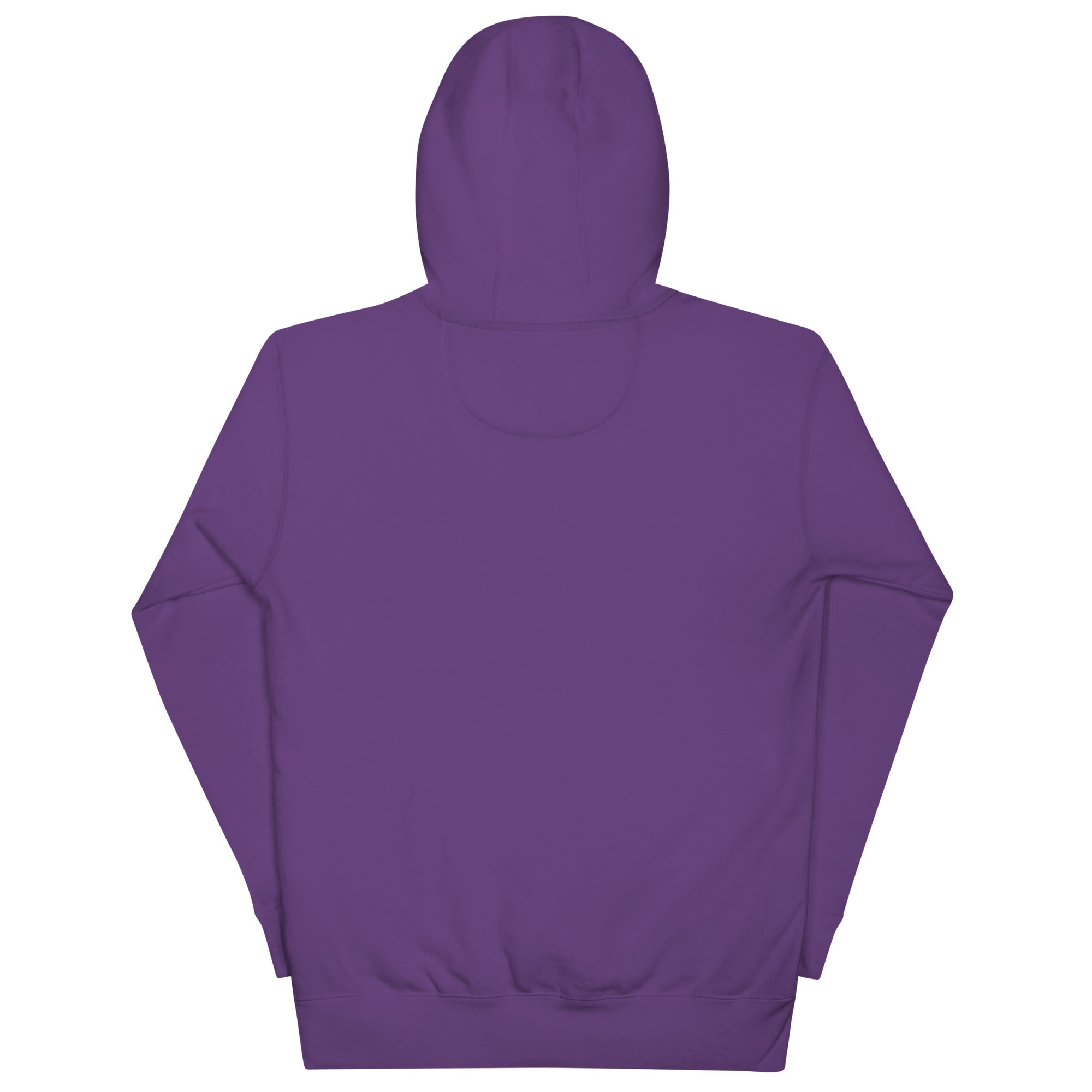 No One Is Coming To Stop You quote pullover hoodie in purple, back view