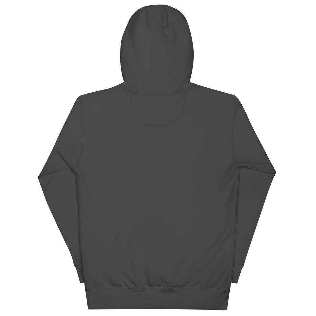 No One Is Coming To Stop You quote pullover hoodie in vintage black, back view