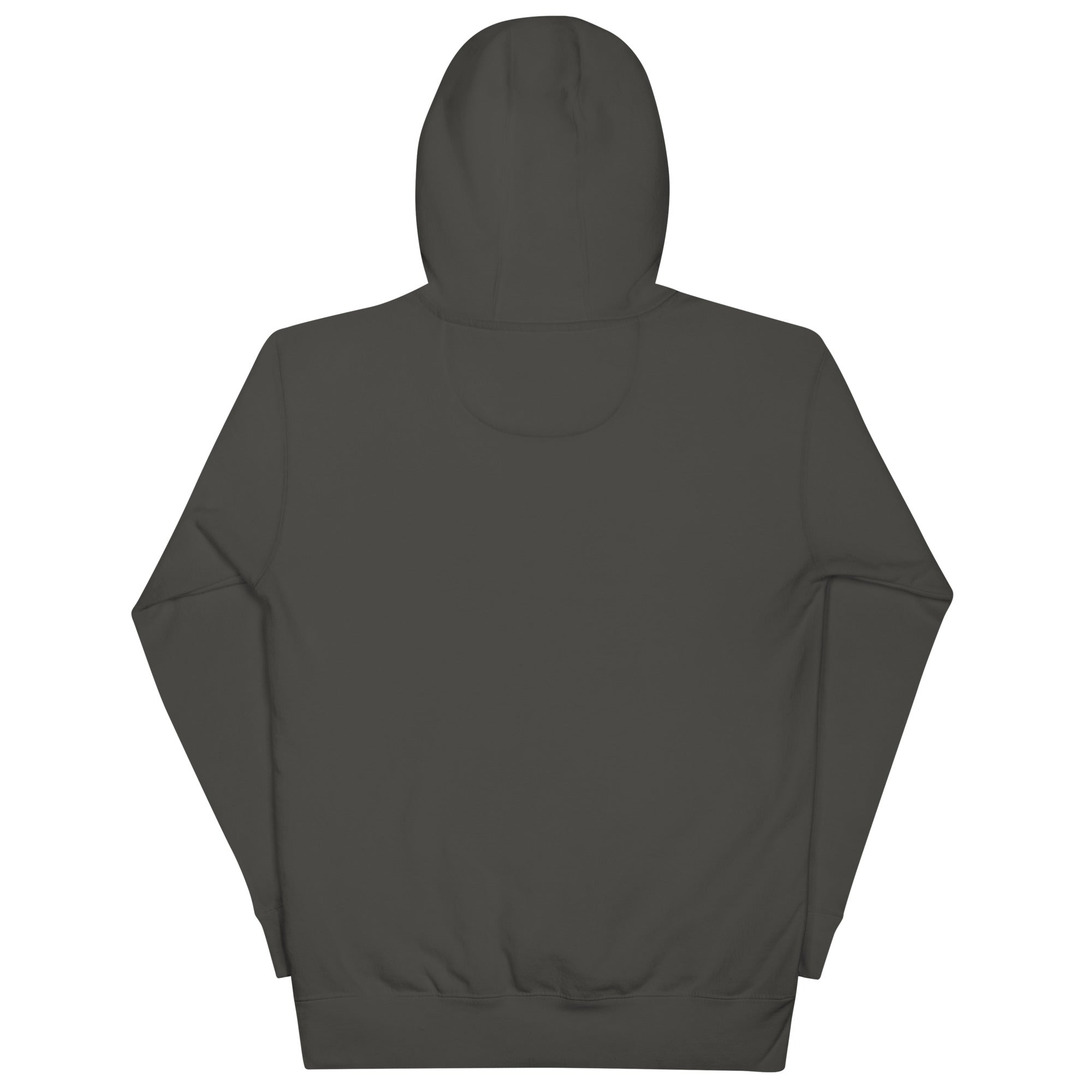 No One Is Coming To Stop You quote pullover hoodie in vintage black, back view
